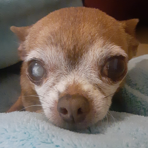 Meet your Posher, Mel - Picture 4 of 5